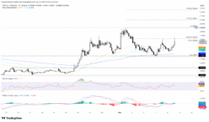 ویرچوال (VIRTUAL): ۱۹ آبان