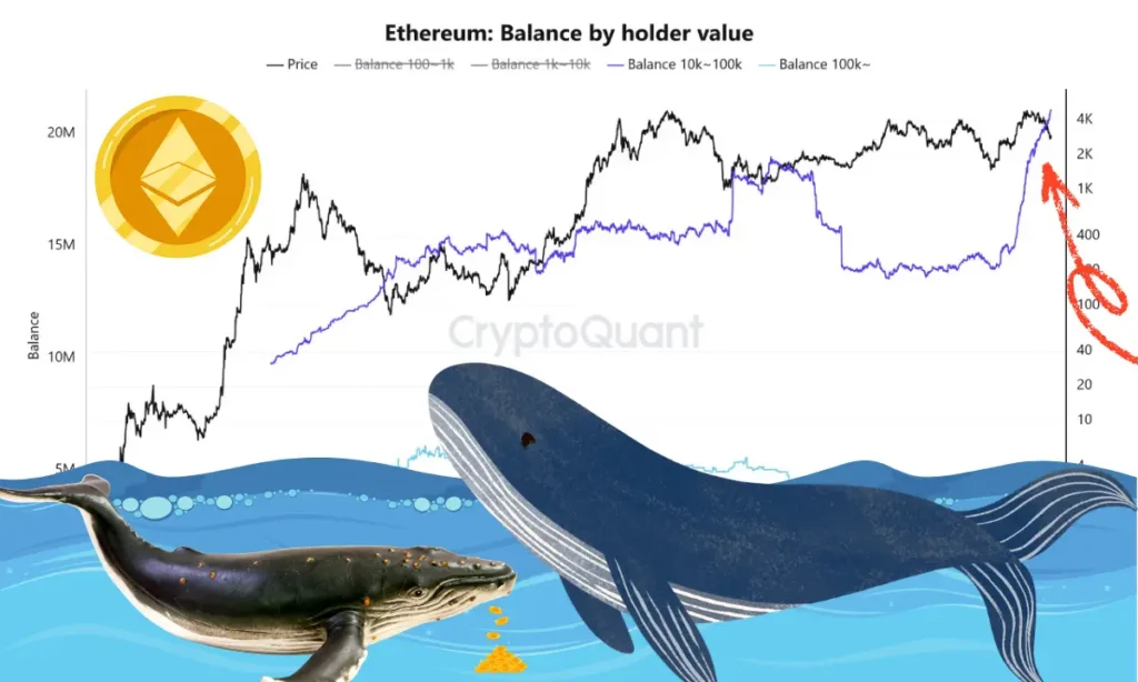 رکوردشکنی نهنگ‌های اتریوم