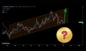 تغییر جهت سرمایه از بیت ‌کوین و اتریوم به سوی این آلت‌ کوین / هدف قیمت کجاست؟