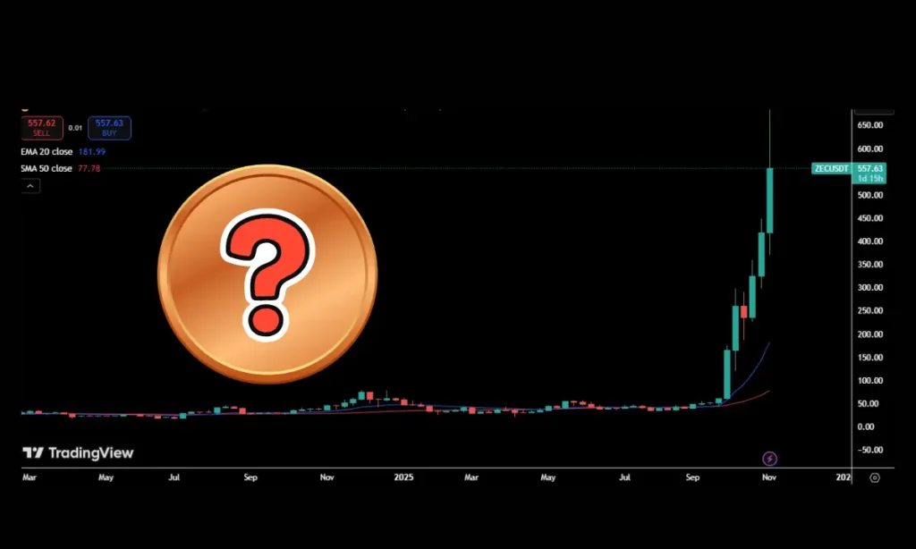 این ۵ ارز دیجیتال این هفته پامپ قیمتی را تجربه کردند