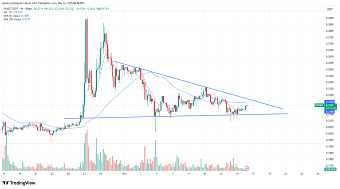جهش ۳۰ درصدی این آلت کوین