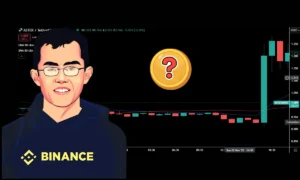 جهش دو رقمی قیمت این آلت ‌کوین با خرید میلیون دلاری بنیان‌گذار بایننس