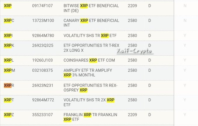ریپل در مقابل بیت‌ کوین: کدام‌یک رالی ماه نوامبر را رهبری خواهد کرد؟