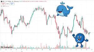نهنگ‌های این ارز دیجیتال رکورد شکستند