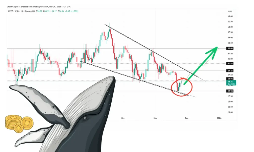 نهنگ‌ها جهش این آلت کوین را استارت می زنند