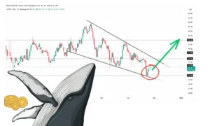 نهنگ‌ها جهش این آلت کوین را استارت می زنند