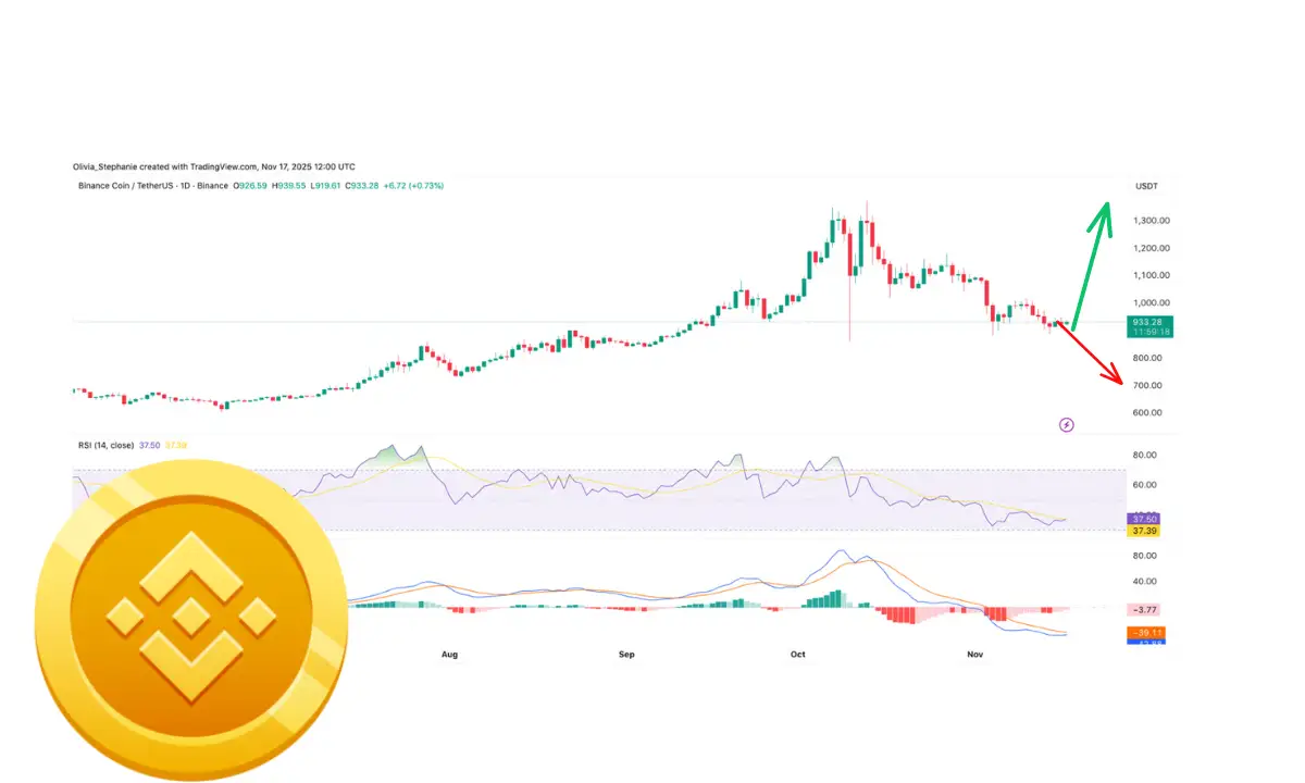 BNB زیر ۱۰۰۰ دلار: خرید یا فروش؟
