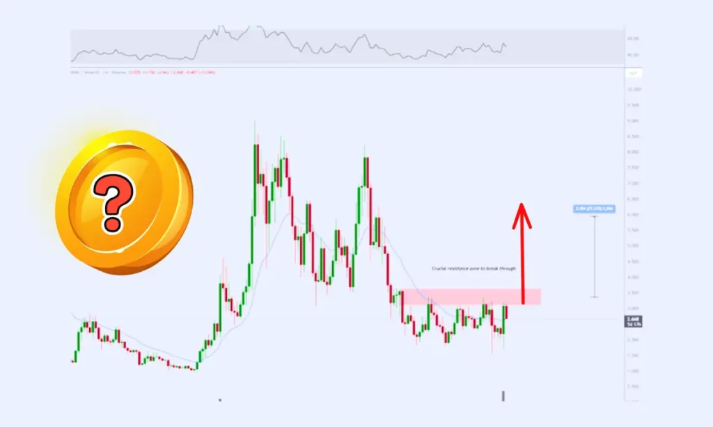 منطقه خرید آلت کوین مشهور پیش از جهش ۳۰۰ درصدی