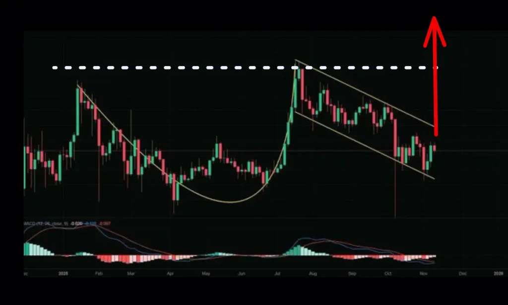 الگوی فنجان و دسته در آلت کوین بزرگ ضامن صعود ۱۰۰ درصدی