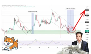 سفر ایلان ماسک به سوی تریلیونر شدن؛ دوج‌کوین تا کجا صعود خواهد