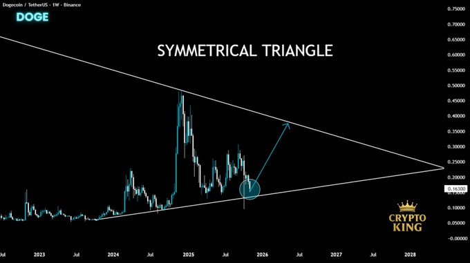 سفر ایلان ماسک به سوی تریلیونر شدن؛ دوج‌کوین تا کجا صعود خواهد
