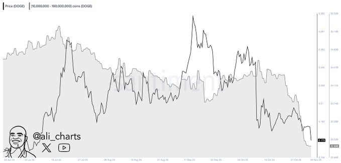 سفر ایلان ماسک به سوی تریلیونر شدن؛ دوج‌کوین تا کجا صعود خواهد