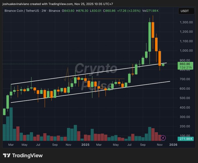 منطقه خرید آلت کوین بزرگ