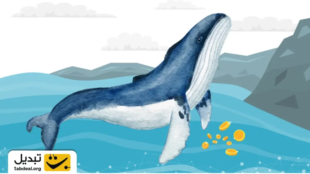 نهنگی که سقوط اکتبر را پیش‌بینی کرده بود، ۵۵،۰۰۰،۰۰۰ دلار خرید کرد