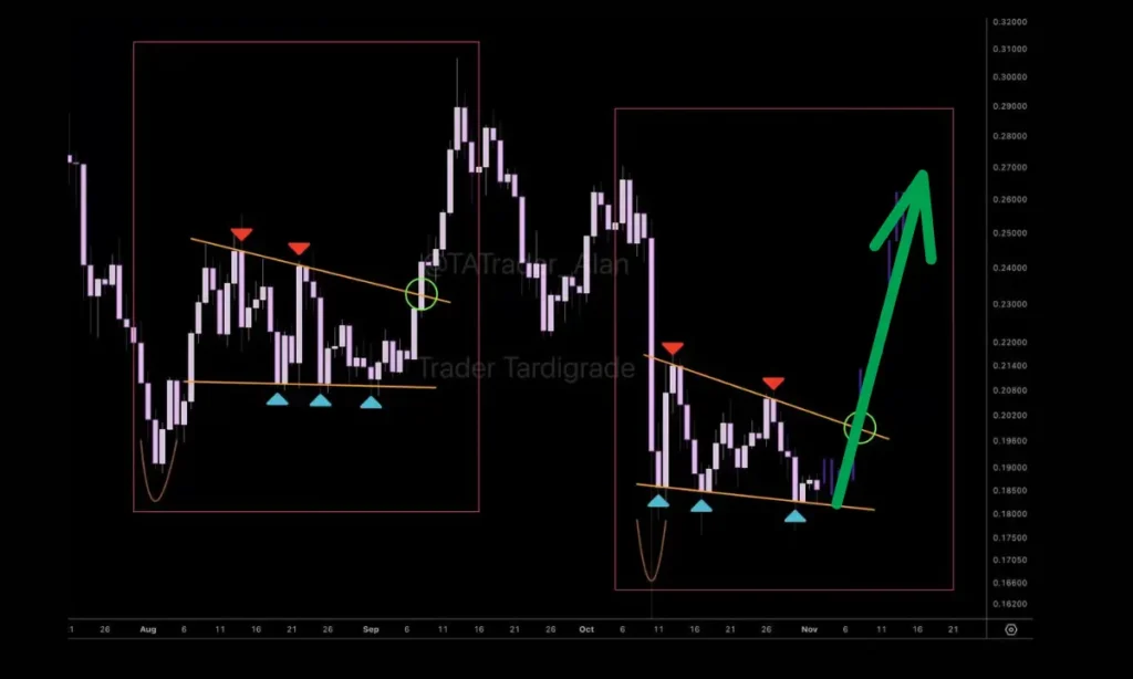با وجود ریزش سنگین، الگوی جهش این ارز دیجیتال در حال شکل‌گیری است