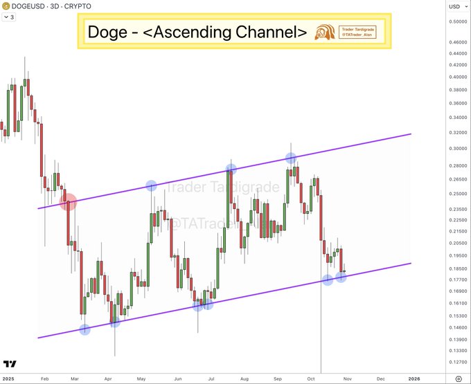 با وجود ریزش سنگین، الگوی جهش این ارز دیجیتال در حال شکلگیری است