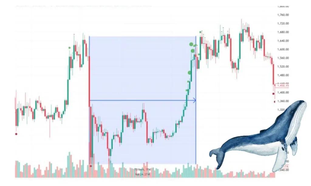 پیش‌بینی رالی ۹۰ درصدی و قله جدید برای ارز دیجیتال برتر