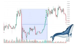 پیش‌بینی رالی ۹۰ درصدی و قله جدید برای ارز دیجیتال برتر