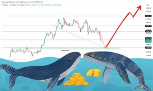 خرید سنگین نهنگ‌ها در کف قیمتی