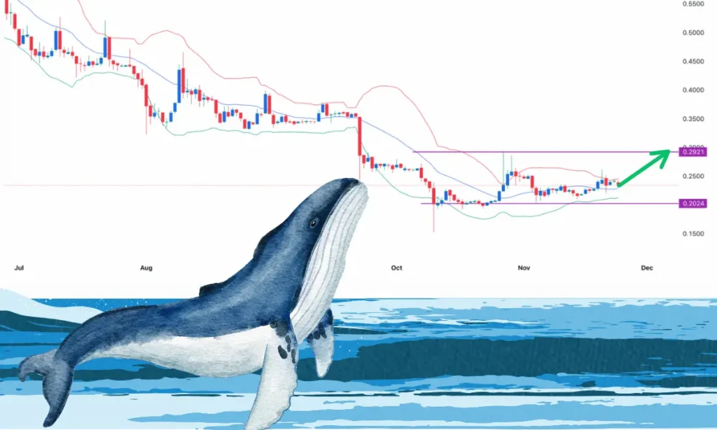 نهنگ‌ها سیگنال خرید این آلت‌ کوین را صادر کردند