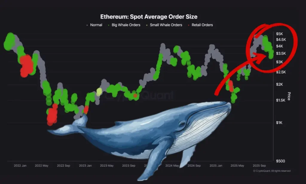 منطقه خرید ارز دیجیتال مشهور پیش از جهش ۴۰ درصدی