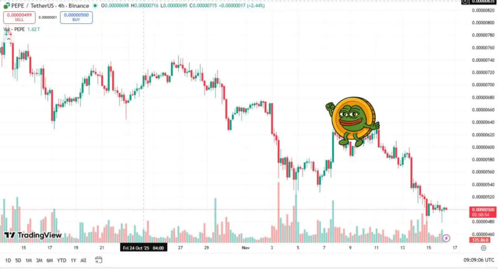 الگوی سروشانه در این میم کوین تایید شد: آماده ریزش بیشتر باشید