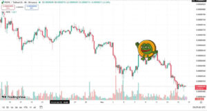 الگوی سروشانه در این میم کوین تایید شد: آماده ریزش بیشتر باشید