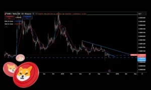 تحلیل تکنیکال شیبا اینو ۱۸ آبان