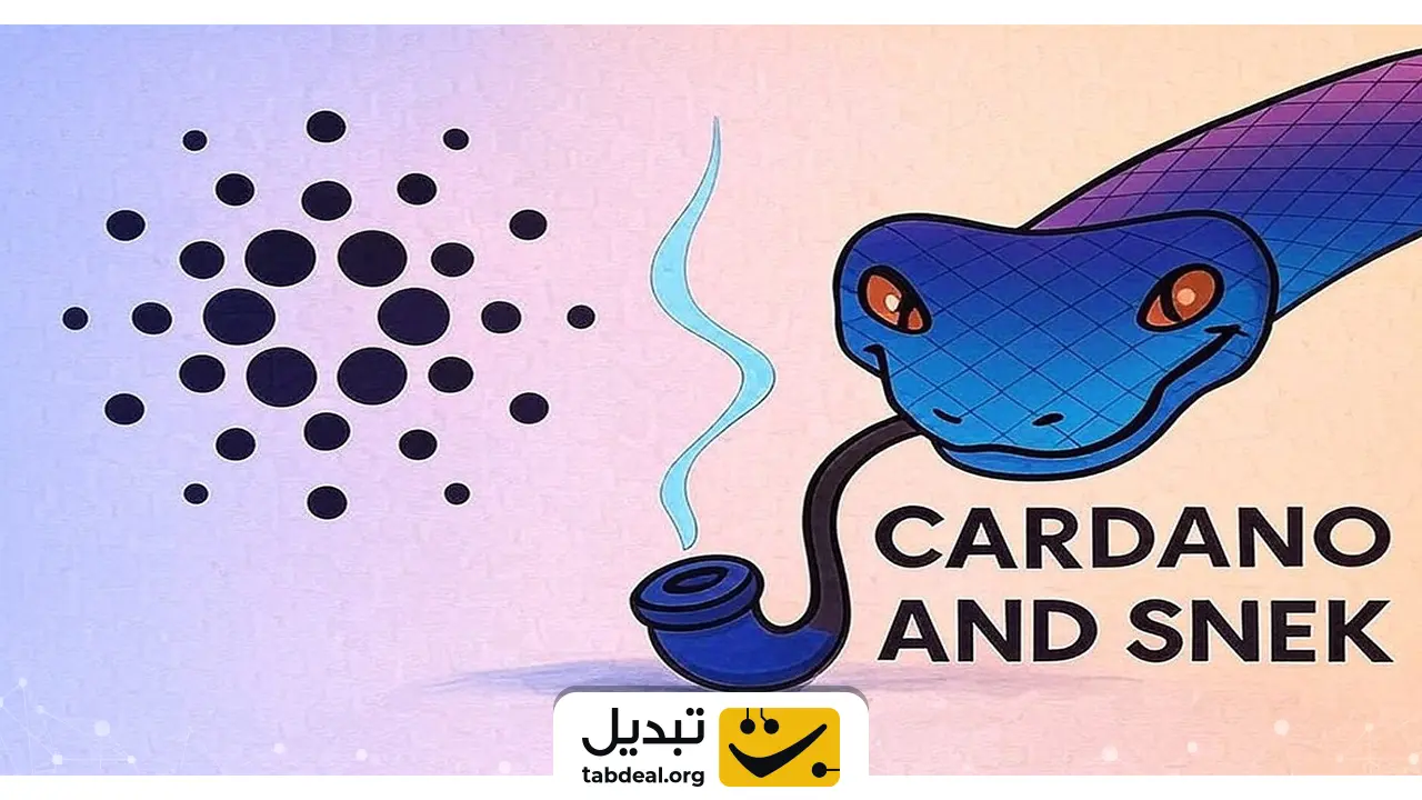 میم کوین اسنک