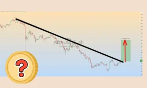 جهش قیمت کاردانو