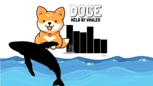تحلیل قیمت دوج‌ کوین (DOGE) و نهنگ‌ها