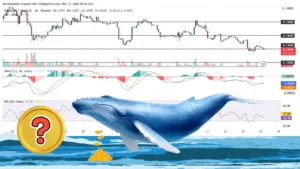 نهنگ‌ها در یک روز ۱۳۸ میلیون واحد از این ارز دیجیتال خریداری کردند