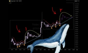 نهنگ‌ها نیم میلیارد توکن این میم‌کوین را در ۴۸ ساعت بلعیدند