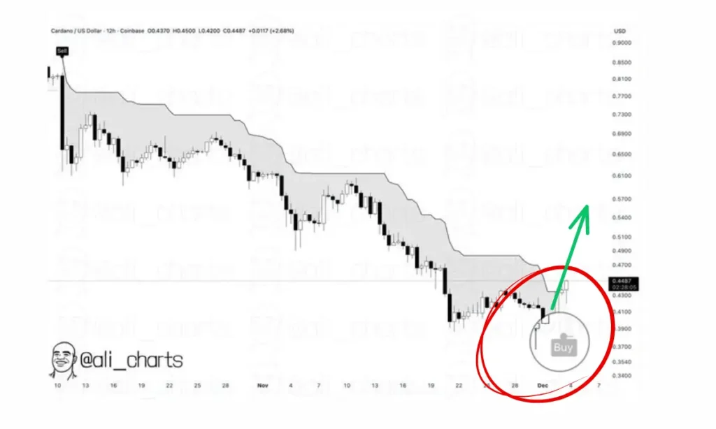 چراغ سبزِ اندیکاتورها؛ زمان خرید این دو آلت کوین فرا رسید؟