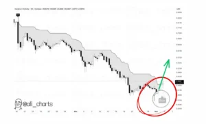 چراغ سبزِ اندیکاتورها؛ زمان خرید این دو آلت کوین فرا رسید؟