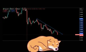 دوج کوین (DOGE)