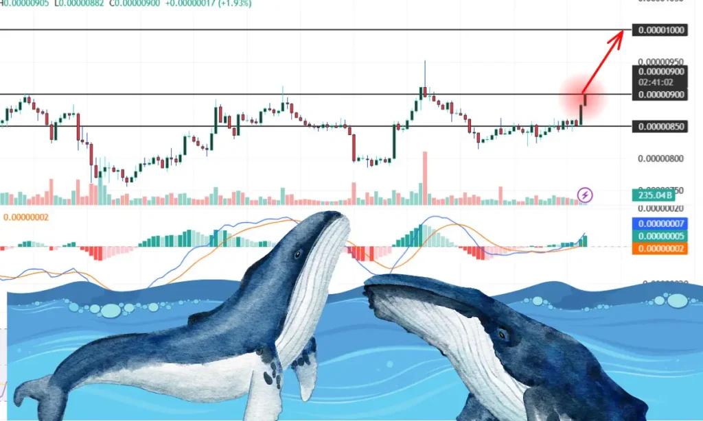 نهنگ‌های میم کوین شناخته شده بیدار شدند؛ جابجایی‌های سنگین و جهش قیمت