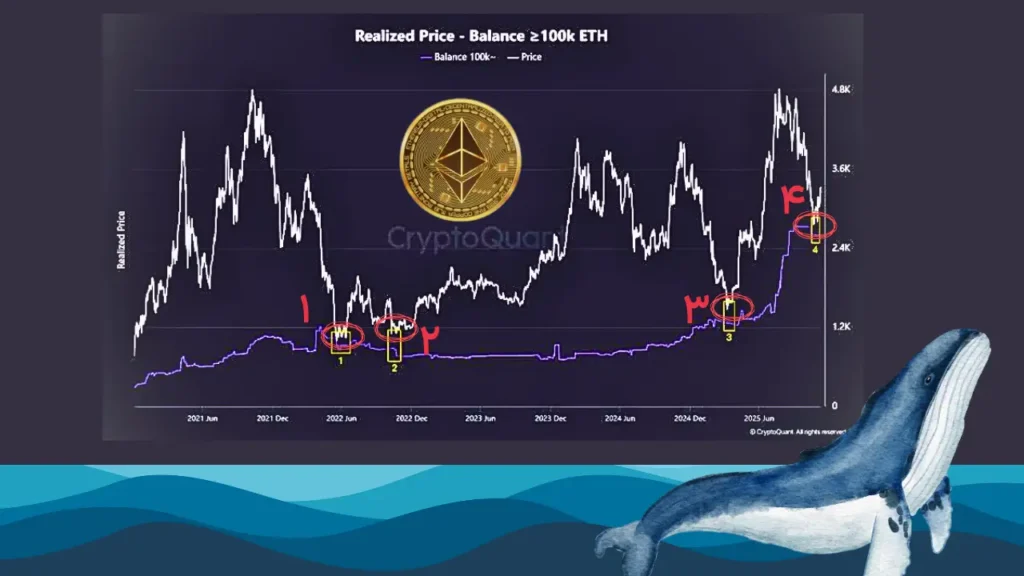 تکرار فرصت طلایی ۲۰۲۱؛ اتریوم به قیمت خرید نهنگ‌ها رسید