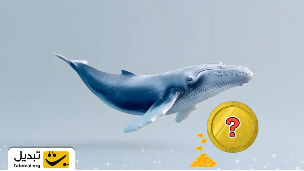 شکار نهنگ: خرید ۱۰۰ میلیون دلار از این ارز دیجیتال در کف قیمتی