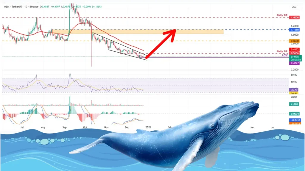 خرید سنگین نهنگ‌ها و رکوردشکنی حجم معاملات: منتظر صعود این آلت ‌‌کوین باشید