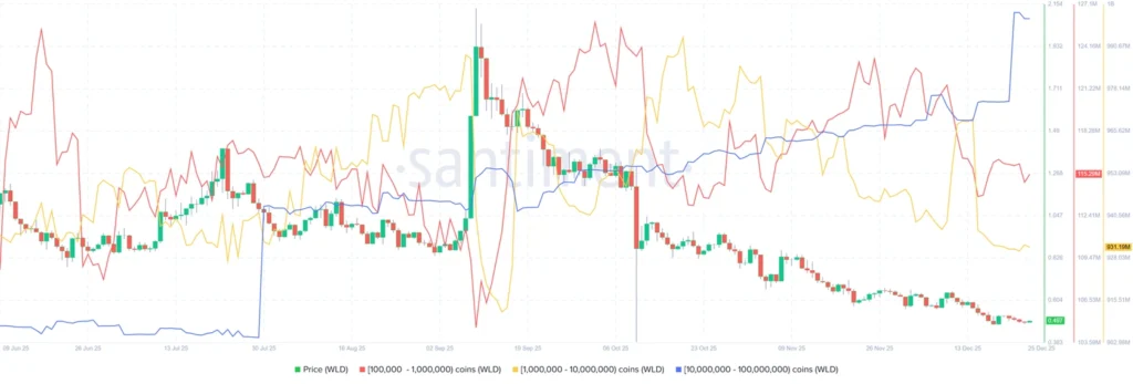 خرید سنگین نهنگ‌ها و رکوردشکنی حجم معاملات: منتظر صعود این آلت ‌‌کوین باشید