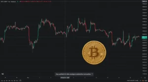 آیا ۲۰۲۶ سال انفجار قیمت بیت‌ کوین خواهد بود؟