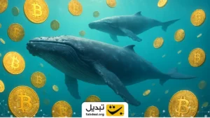 نهنگ‌های بیت‌ کوین در این محدوده از قیمت محافظت می‌کنند