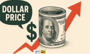 قیمت دلار، یورو و سایر ارزها امروز ۶ دی/ قیمت دلار عجیب شد