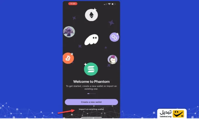 گزینه Import an existing wallet (وارد کردن کیف پول موجود) را انتخاب کنید.
