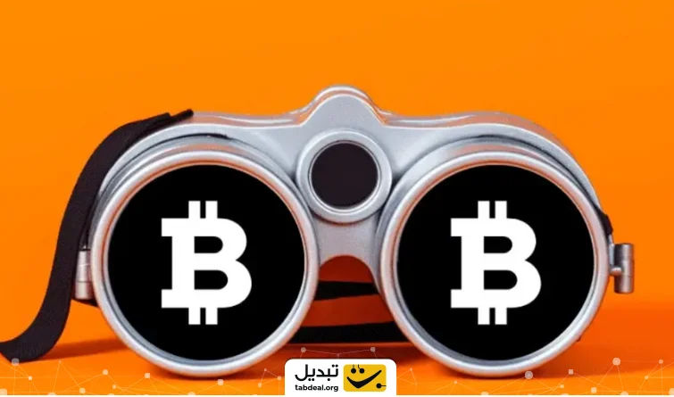 کیف پول watch only چیست؟