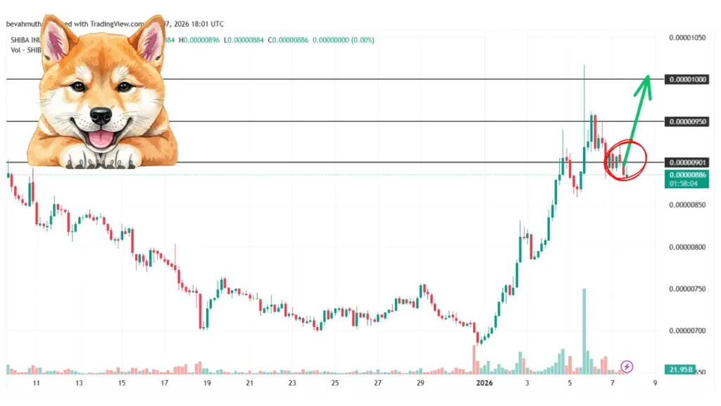 آینده میم‌کوین‌ها در دی‌ماه؛ پیش‌بینی قیمت دوج، شیبا و پپه