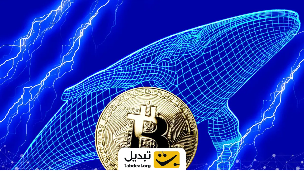 تعیین حد ضرر، رویکردی اساسی در کسب سود از شورت اسکوییز