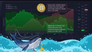 عقب‌نشینی قیمت بیت‌کوین؛ نهنگ‌ها چه واکنشی نشان دادند؟