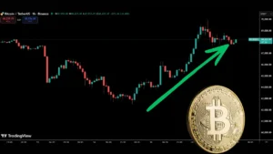 بیت‌کوین در یک قدمی ۷۰ هزار دلار؛ آلت‌کوین‌ها قدرتمندترین جهش هفته‌های اخیر را ثبت کردند